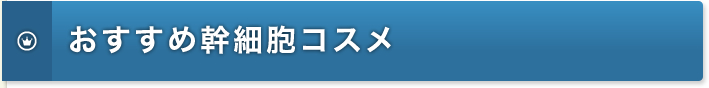 おすすめ